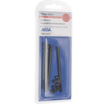 Assa Abloy ytterdörrskruvar 5x80 mm i blisterförpackning