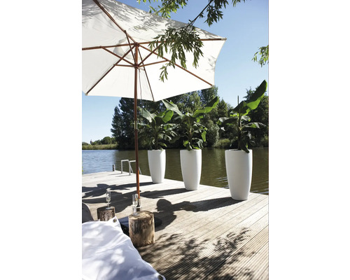 Scen på en träbrygga med parasoll och planteringskärl med växter