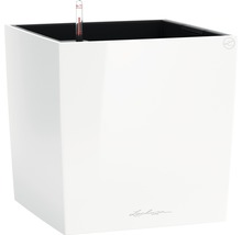 Självvattnade blomkruka LECHUZA Cube 50 plast vit inkl. substrat
