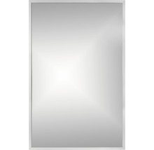 Spegel CORDIA brw line silver 65x100 cm-thumb-0