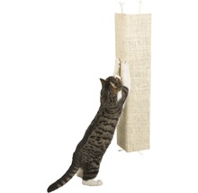 Katt klöser på en klösbräda av sisal