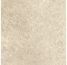 Kakel med sten dekor