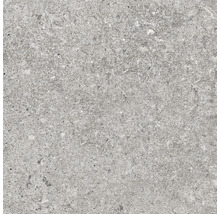 Närbild av en grå golvplatta med stenmönster.