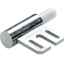 Metallstift med monteringsplatta