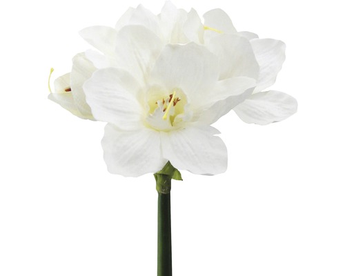 Konstväxt amaryllis 66cm vit