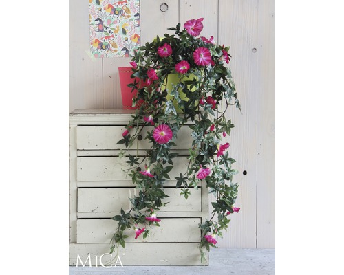 Klätterväxt med rosa blommor i färgglada krukor på ett gammalt skåp