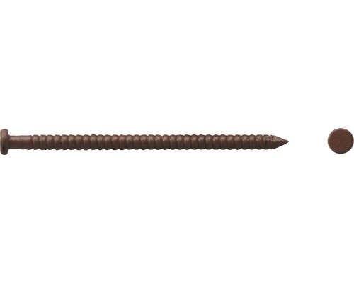 Sockelspik DRESSELHAUS 1,6x26mm mörkbrun 140-pack En träskruv med linshuvud