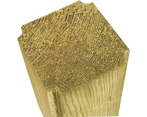 Träbalk i tvärsnitt