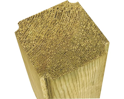 Tvärsnitt av trästolpe