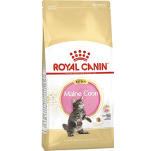 Royal Canin Maine Coon Kitten torrfoder