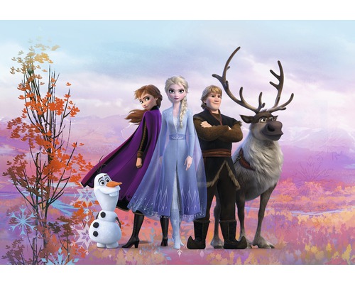 Fototapet SUNNY DECOR Disney Frozen Iconic 8 delar 368x254cm SD4103