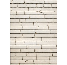Mosaikplatta av natursten i avlång form