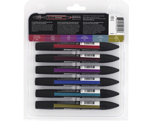 Förpackning med sex Winser & Newton Promarkers