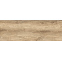 Utomhusklinker Granitkeramik ek ljus glaserat matt limewood 40x120 cm