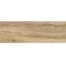 Utomhusklinker Granitkeramik ek ljus glaserat matt limewood 40x120 cm