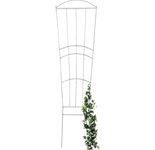 Metallobelisk Spaljé med växt