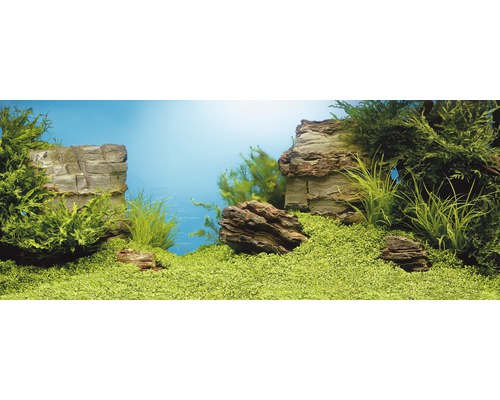 Akvariebakgrund JUWEL Poster L 100X50cm Akvariebakgrund JUWEL Poster L 100X50cm