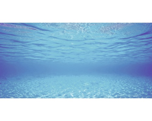 Undervattensbild med sandbotten