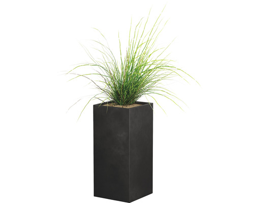 Hög planteringslåda med plantering