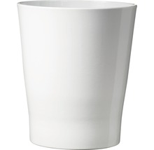 Vit blomkruka