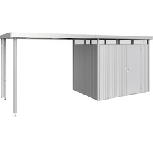 Metallcarport med förråd och dörr