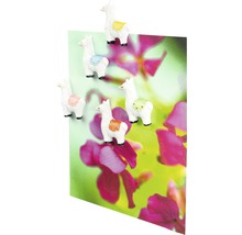 Dekorativa magneter i form av lama på ett kort med blommotiv