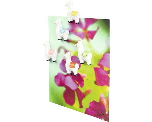 Dekorativa magneter i form av lama på ett kort med blommotiv