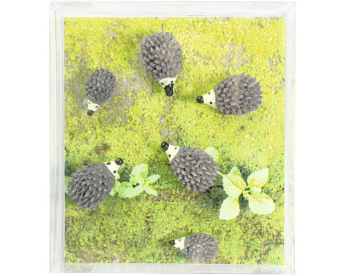 Dekoration med igelkottsmotiv i en transparent låda