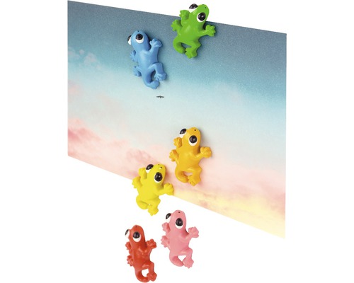 Flerfärgade grodmagneter som dekoration för memobrädor