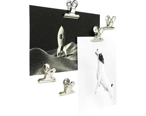 Flera klämmor fäster foton på en yta