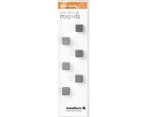 Sex kubformade magneter i en förpackning