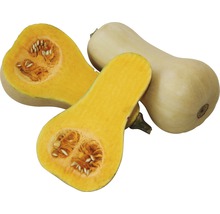 Butternuts squash, hel och halverad