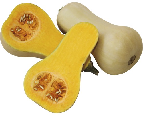 Butternuts squash, hel och halverad