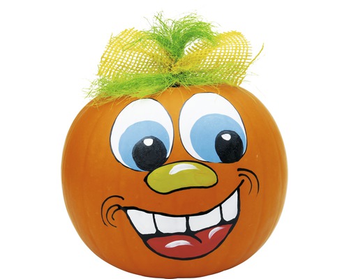 Målad pumpa med ansikte och håraccessoar för Halloween