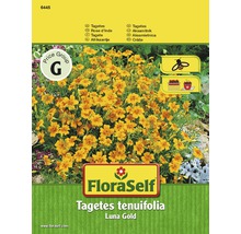 Förpackning Tagetes tenuifolia Luna Gold blomfrön