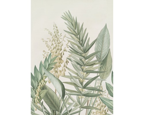 Fototapet ART FOR THE HOME Cosy Balance palm lily 4 delar 200x280cm 107923 Bild av olika gröna växter