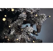 Dekorerad julgran med kottar och ljusslinga