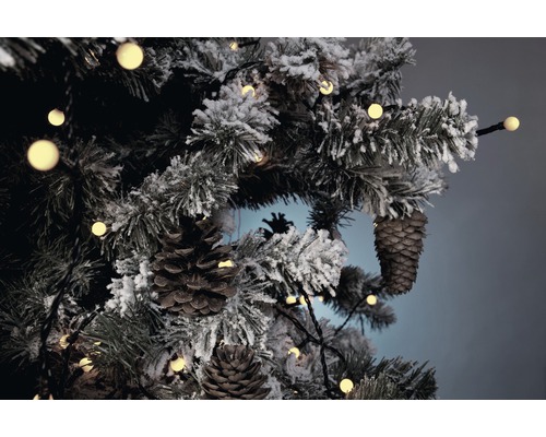 Dekorerad julgran med kottar och ljusslinga