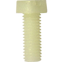 Cylindrisk maskinskruv DRESSELHAUS med mejselspår polyamid DIN 84 6x45mm 50-pack-thumb-1