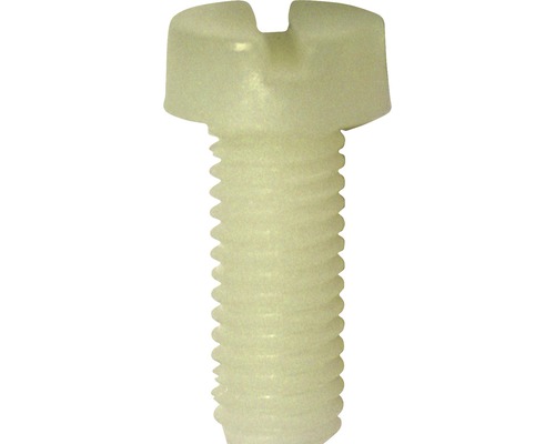 Cylindrisk maskinskruv DRESSELHAUS med mejselspår polyamid DIN 84 6x45mm 50-pack-0
