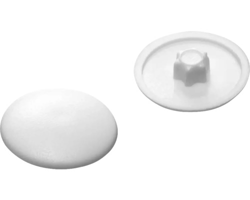 Täckhatt DRESSELHAUS för torx T 30 ljusbrun plast Täckkåpor av plast, två vyer