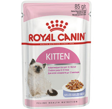 Kattmat ROYAL CANIN Kitten Jelly 12x85g