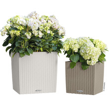 Två fyrkantiga blomkrukor med flätmönster och hortensiaväxter