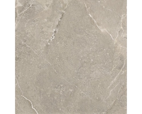 Kakel med marmorutseende