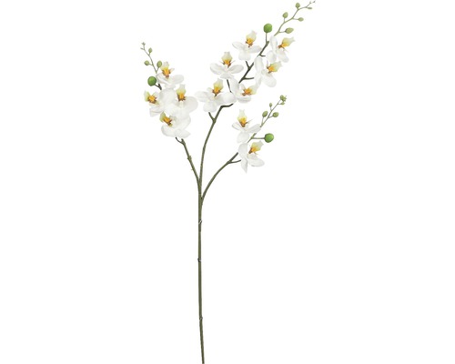 Konstväxt MICA Phalaenopsis vit 75cm