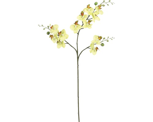 Konstväxt MICA Phalaenopsis grön 75cm