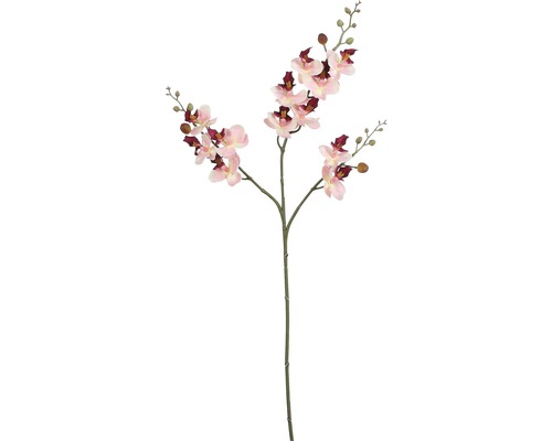 Konstväxt MICA Phalaenopsis rosa 75cm