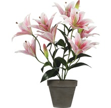 Dekorativa rosa liljor i en grå kruka för inomhusbruk