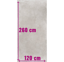 Kakelplatta med måtten 260 cm x 120 cm