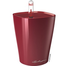 Lechuza Classico 21 planteringskärl med bevattningssystem